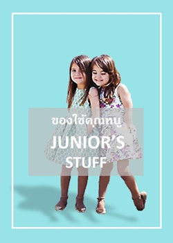 ข้าวของเครื่องใช้คุณหนู